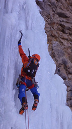 Capitaine Courageux Fournel